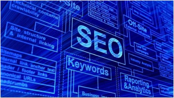 Which Tools Help Me Understand How Backlinks Work In SEO Daily?
