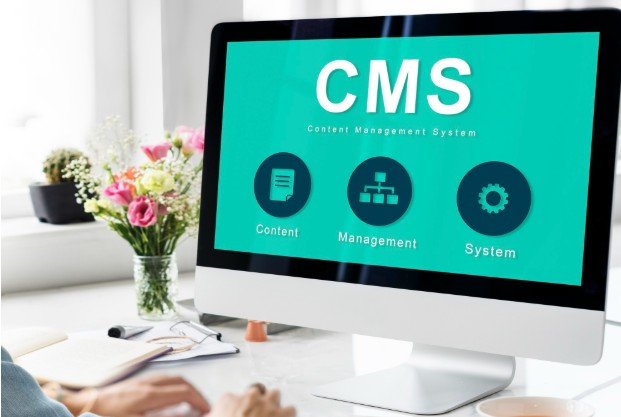 Which Plugin Types Actually Move the Needle