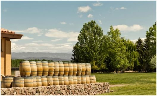 The Role of Pinot Meunier in Sparkling Wine